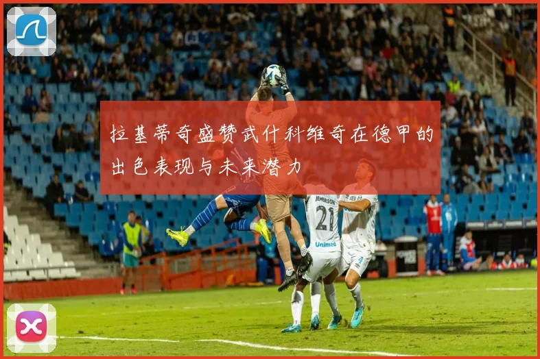 拉基蒂奇盛赞武什科维奇在德甲的出色表现与未来潜力